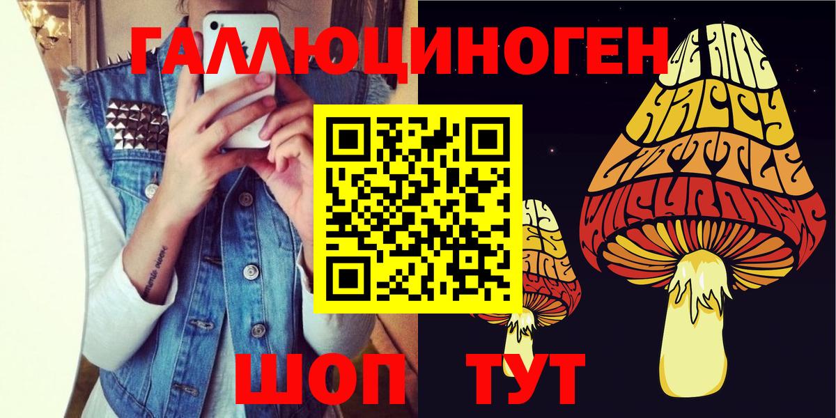 Галлюциногенные грибы Psilocybine cubensis  Вход с VPN  Шебекино 