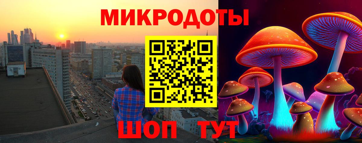Галлюциногенные грибы Psilocybe Шебекино